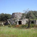 campagna pajara salento (3)